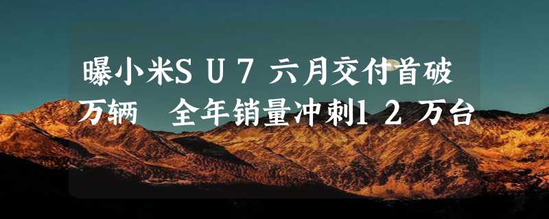 曝小米SU7六月交付首破万辆 全年销量冲刺12万台