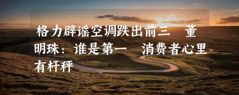 格力辟谣空调跌出前三 董明珠：谁是第一 消费者心里有杆秤