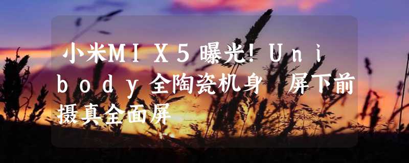 小米MIX5曝光！Unibody全陶瓷机身 屏下前摄真全面屏