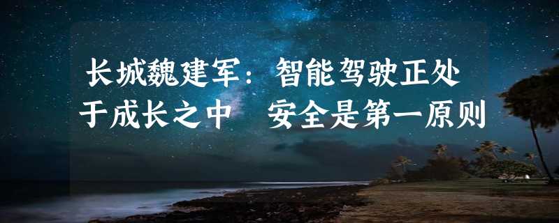 长城魏建军：智能驾驶正处于成长之中 安全是第一原则