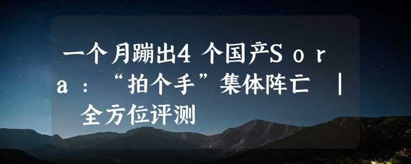 一个月蹦出4个国产Sora：“拍个手”集体阵亡 | 全方位评测