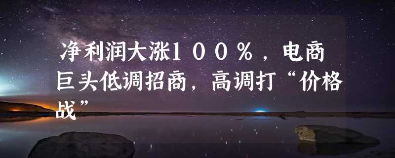 净利润大涨100%，电商巨头低调招商，高调打“价格战”