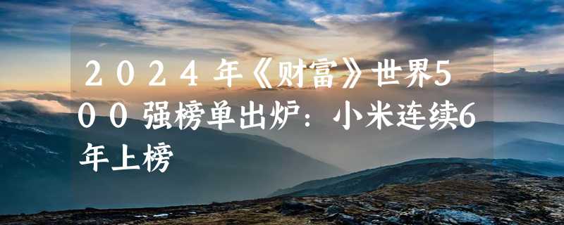 2024年《财富》世界500强榜单出炉：小米连续6年上榜