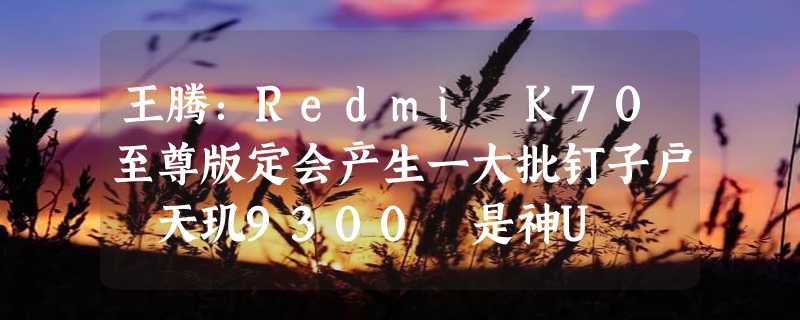 王腾：Redmi K70至尊版定会产生一大批钉子户 天玑9300 是神U