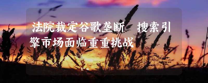 法院裁定谷歌垄断 搜索引擎市场面临重重挑战