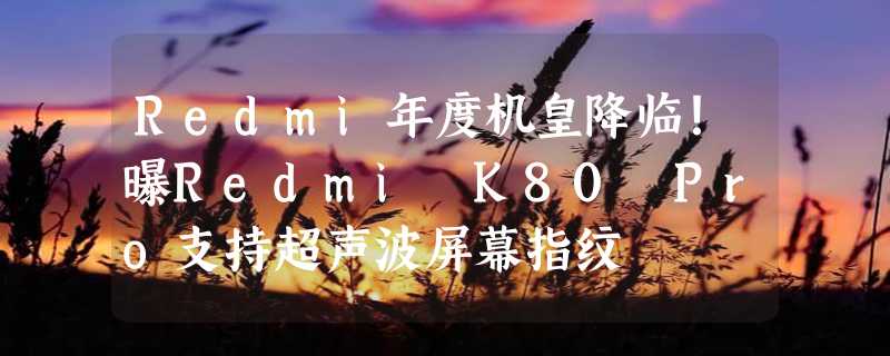 Redmi年度机皇降临！曝Redmi K80 Pro支持超声波屏幕指纹