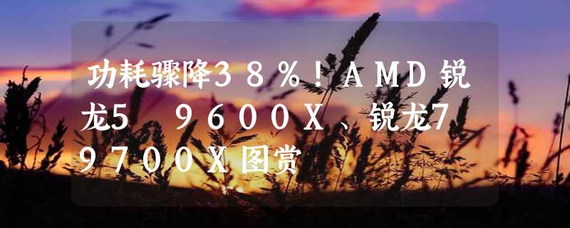 功耗骤降38%！AMD锐龙5 9600X、锐龙7 9700X图赏