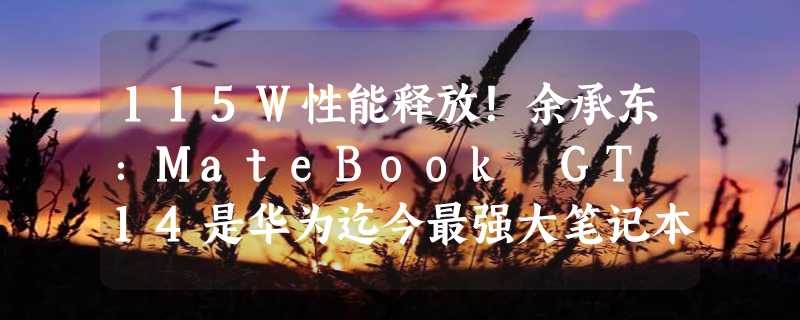 115W性能释放！余承东：MateBook GT 14是华为迄今最强大笔记本