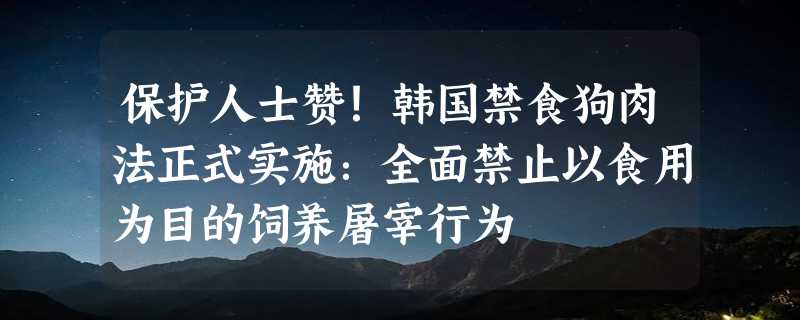 保护人士赞！韩国禁食狗肉法正式实施：全面禁止以食用为目的饲养屠宰行为