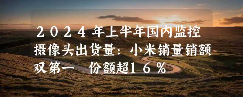 2024年上半年国内监控摄像头出货量：小米销量销额双第一 份额超16%