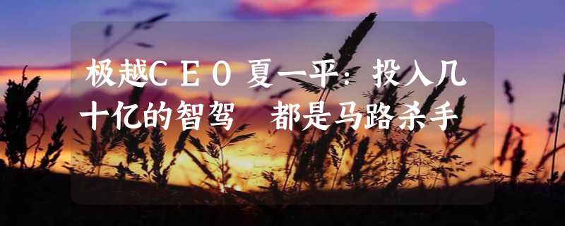 极越CEO夏一平：投入几十亿的智驾 都是马路杀手