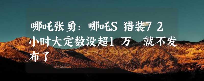 哪吒张勇：哪吒S猎装72小时大定数没超1万 就不发布了