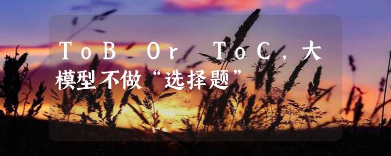 ToB Or ToC，大模型不做“选择题”