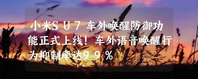 小米SU7车外唤醒防御功能正式上线！车外语音唤醒行为抑制率达99%