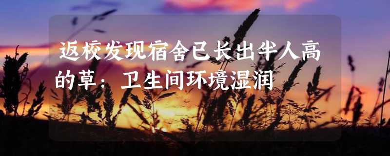 返校发现宿舍已长出半人高的草：卫生间环境湿润