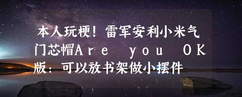 本人玩梗！雷军安利小米气门芯帽Are you OK版：可以放书架做小摆件