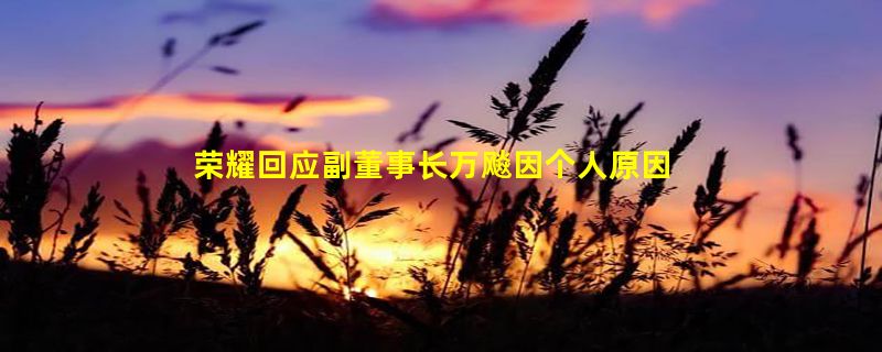 荣耀回应副董事长万飚因个人原因辞职：不会影响公司的正常运作