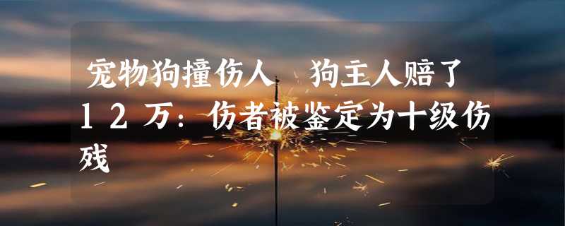 宠物狗撞伤人 狗主人赔了12万：伤者被鉴定为十级伤残