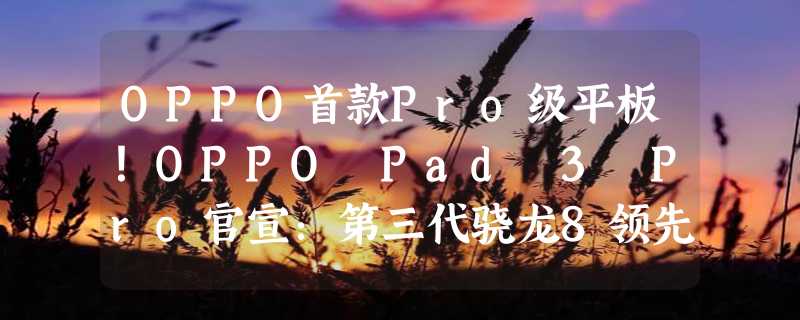 OPPO首款Pro级平板！OPPO Pad 3 Pro官宣：第三代骁龙8领先版 3K屏