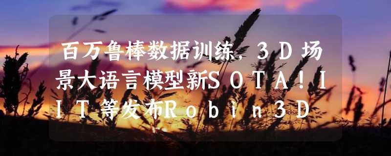 百万鲁棒数据训练，3D场景大语言模型新SOTA！IIT等发布Robin3D