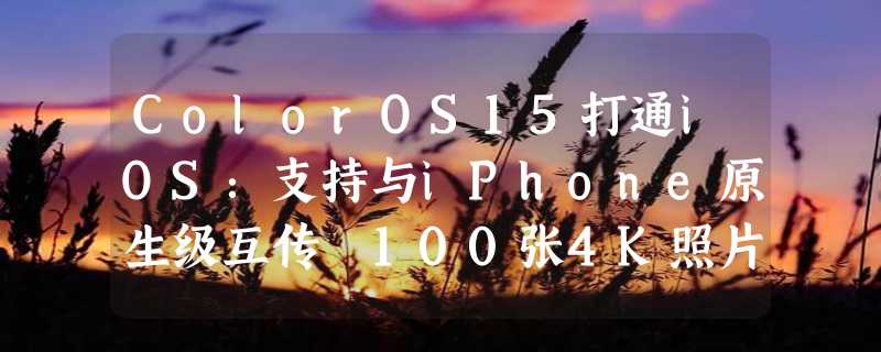 ColorOS15打通iOS：支持与iPhone原生级互传 100张4K照片仅需8秒