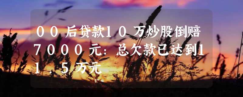 00后贷款10万炒股倒赔7000元：总欠款已达到11.5万元