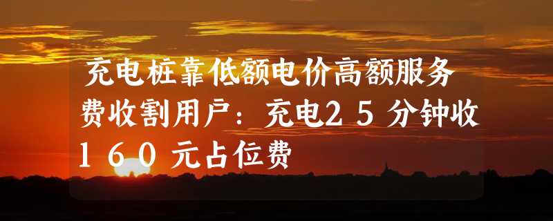 充电桩靠低额电价高额服务费收割用户：充电25分钟收160元占位费