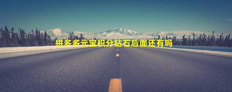 拼多多元宝积分钻石后面还有吗