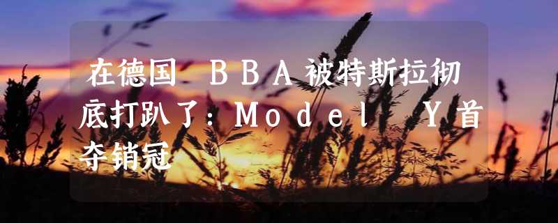 在德国 BBA被特斯拉彻底打趴了：Model Y首夺销冠