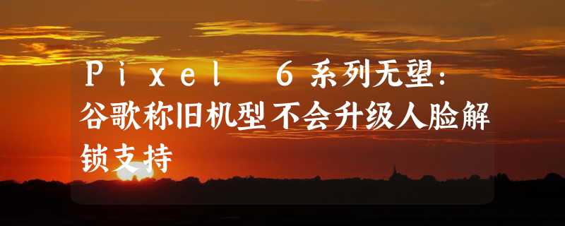 Pixel 6系列无望：谷歌称旧机型不会升级人脸解锁支持