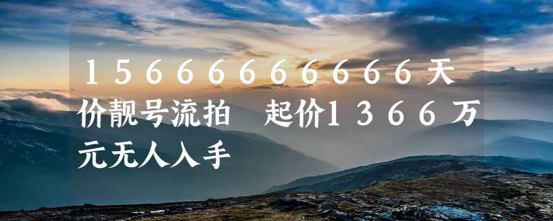 15666666666天价靓号流拍 起价1366万元无人入手