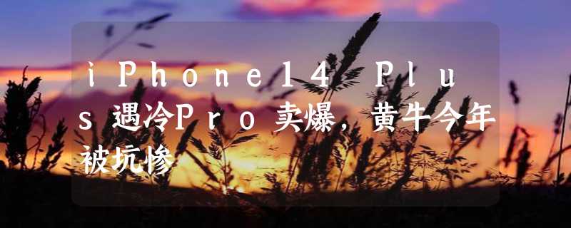 iPhone14 Plus遇冷Pro卖爆，黄牛今年被坑惨