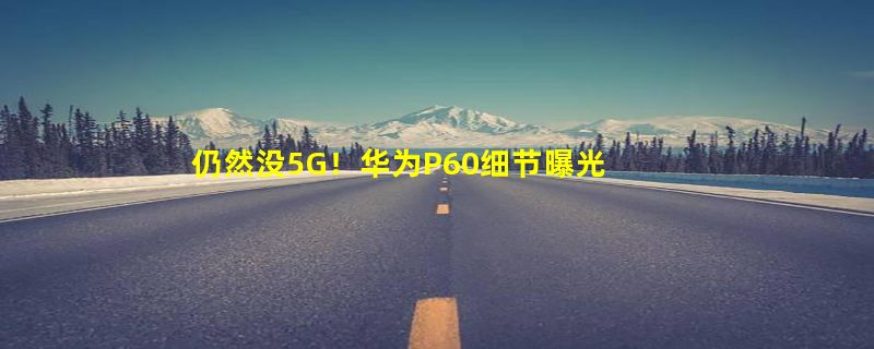 仍然没5G！华为P60细节曝光：用上骁龙8旗舰新U、拍照升级