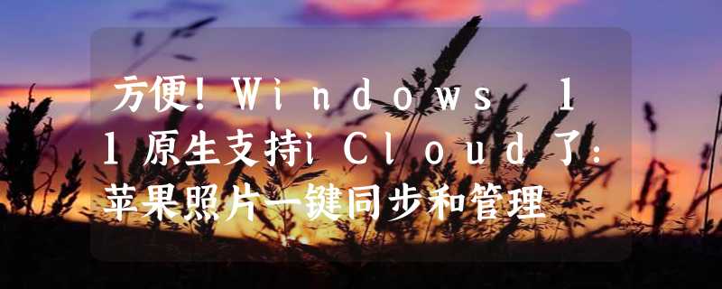 方便！Windows 11原生支持iCloud了：苹果照片一键同步和管理