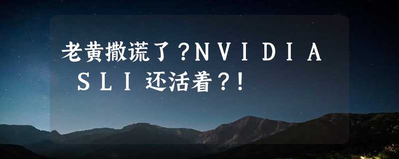 老黄撒谎了？NVIDIA SLI还活着？！