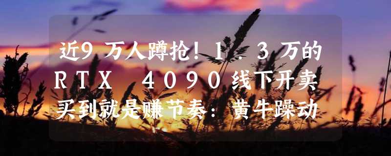 近9万人蹲抢！1.3万的RTX 4090线下开卖 买到就是赚节奏：黄牛躁动