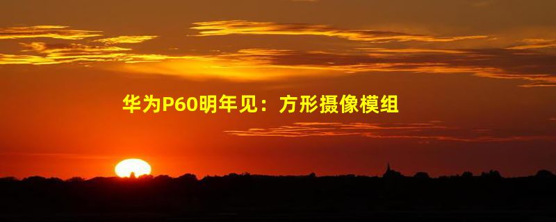 华为P60明年见：方形摄像模组+新配色