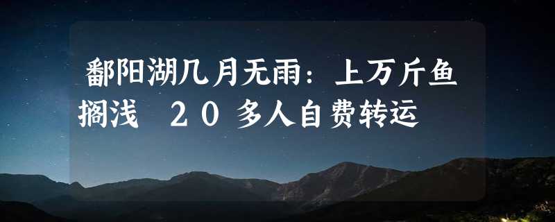 鄱阳湖几月无雨：上万斤鱼搁浅 20多人自费转运