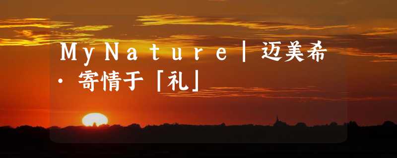 MyNature|迈美希·寄情于「礼」