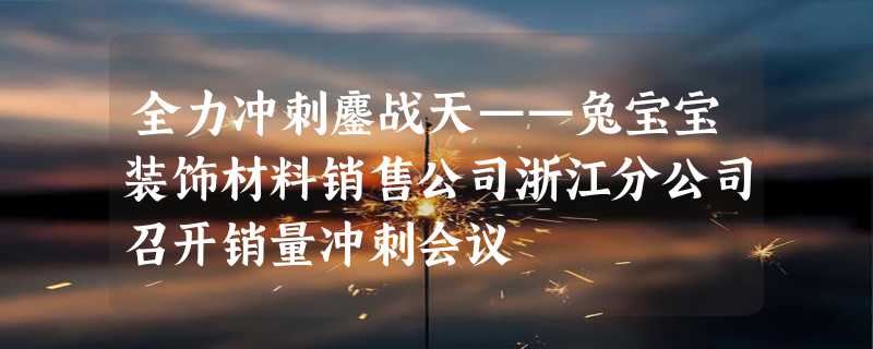 全力冲刺鏖战天——兔宝宝装饰材料销售公司浙江分公司召开销量冲刺会议