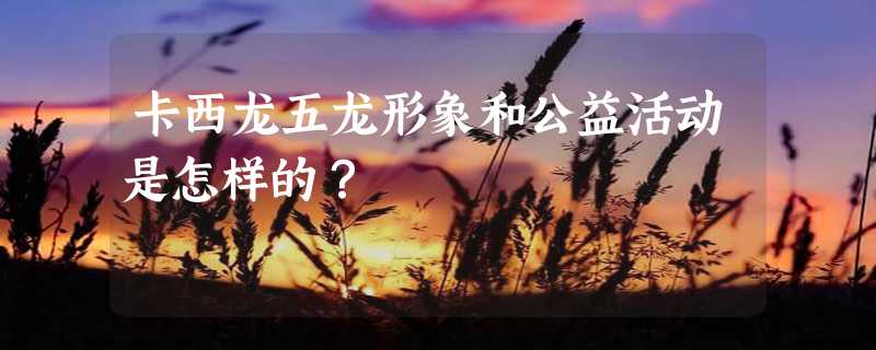 卡西龙五龙形象和公益活动是怎样的？