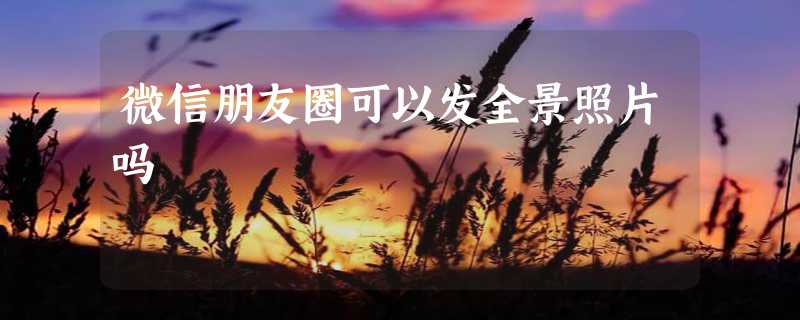 微信朋友圈可以发全景照片吗