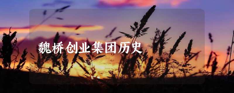 魏桥创业集团历史