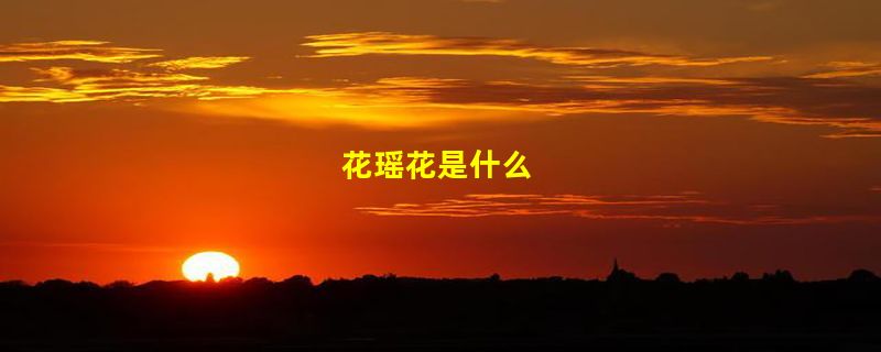 花瑶花是什么