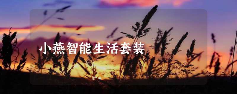 小燕智能生活套装