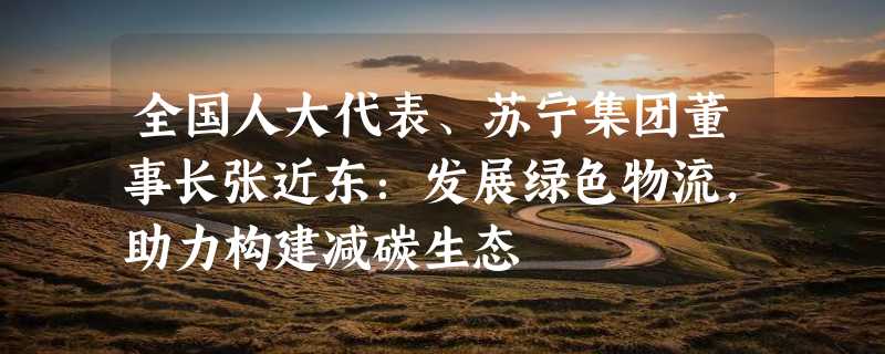 全国人大代表、苏宁集团董事长张近东：发展绿色物流，助力构建减碳生态