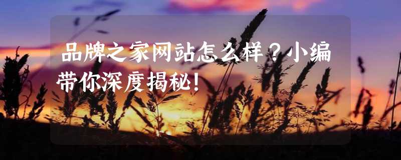 品牌之家网站怎么样？小编带你深度揭秘！