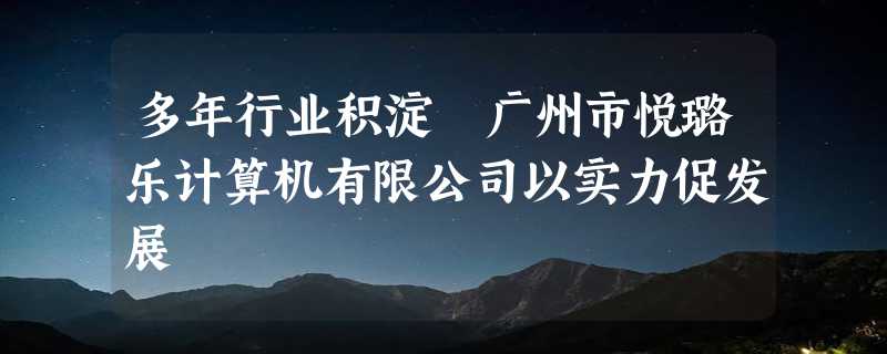 多年行业积淀 广州市悦璐乐计算机有限公司以实力促发展