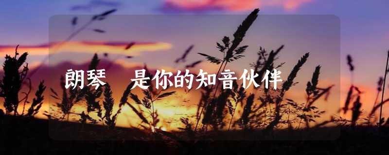 朗琴 是你的知音伙伴