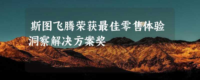 斯图飞腾荣获最佳零售体验洞察解决方案奖